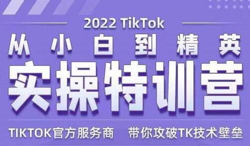 图片[1]-Seven漆《Tiktok从小白到精英实操特训营》带你掌握Tiktok账号运营-课程网