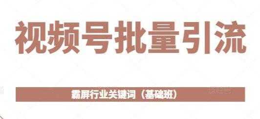 图片[1]-《视频号批量引流》霸屏行业关键词玩法（基础班）-课程网