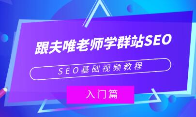 夫唯《群站seo优化教程视频》SEO基础视频教程-课程网
