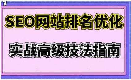 樊天华《SEO网站排名优化》实战高级技法指南-课程网