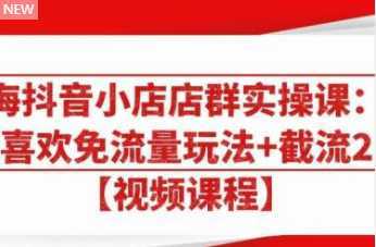 图片[1]-大海抖音小店店群实操课：猜你喜欢免流量玩法+截流 2.0-课程网
