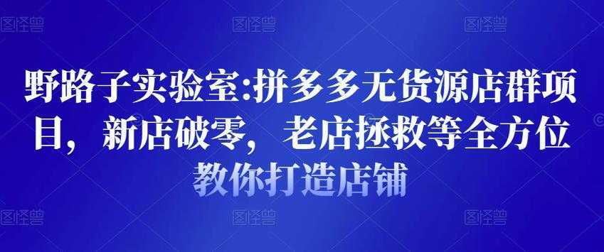 图片[1]-野路子实验室:拼多多无货源店群项目，新店破零，老店拯救等全方位教你打造店铺-课程网