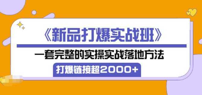 图片[1]-凌童《新品打爆实战班》,一套完整的实操实战落地方法，打爆链接超2000+（28节课)-课程网