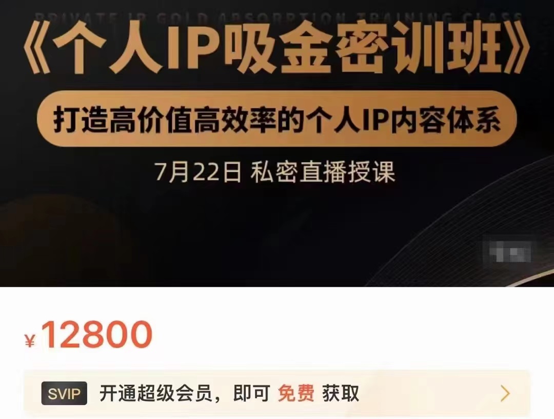 个人IP吸金密训班，打造高价值高效率的个人IP内容体系（价值12800元）-课程网