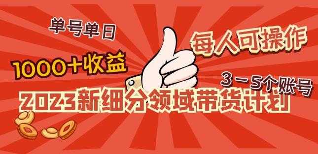 2023新细分领域带货计划：单号单日1000+收益不难，每人可操作3-5个账号-课程网