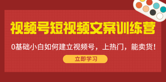 视频号短视频文案训练营：0基础小白如何建立视频号，上热门，能卖货！-课程网