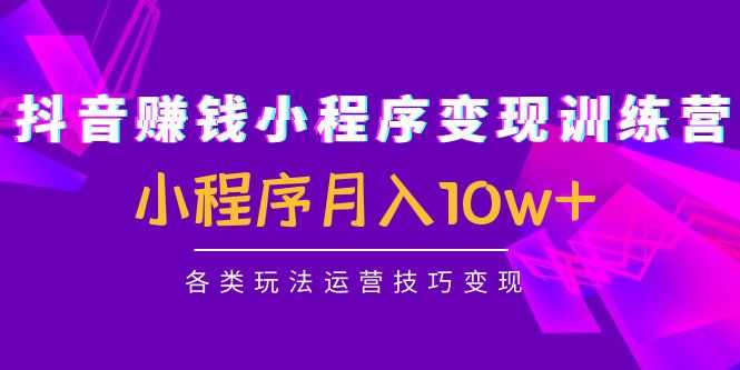 抖音赚钱小程序变现训练营：小程序月入10w+各类玩法运营技巧变现-课程网