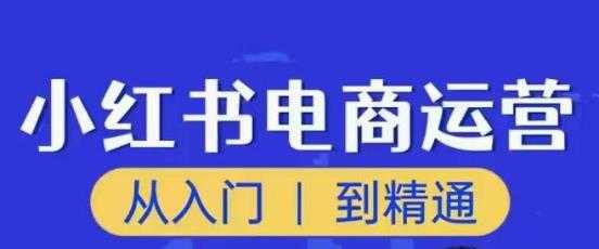 图片[1]-顽石小红书电商高阶运营课程，从入门到精通，玩法流程持续更新-课程网