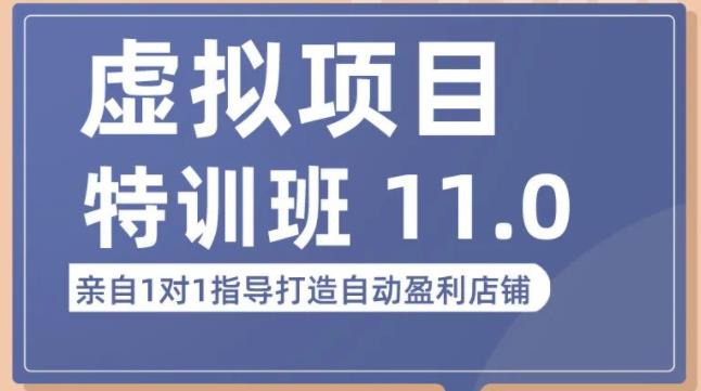 陆明明·虚拟项目特训班（10.0+11.0），0成本获取虚拟素材，0基础打造自动盈利店铺-课程网