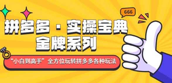 拼多多·实操宝典：金牌系列“小白到高手”带你全方位玩转拼多多各种玩法-课程网