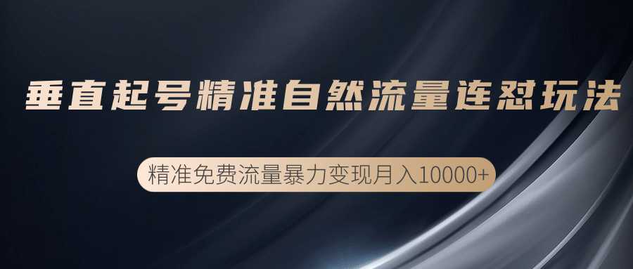 垂直起号精准自然流量连爆玩法，精准引流暴力变现月入10000+-课程网