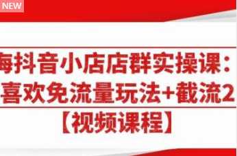 图片[1]-大海抖音小店店群实操课：猜你喜欢免流量玩法+截流 2.0-课程网
