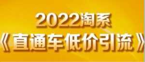 茂隆《直通车低价引流》教你低投入，高回报的直通车玩法-课程网