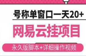《网易云挂机项目》云梯挂机计划,号称单窗口一天20+-课程网