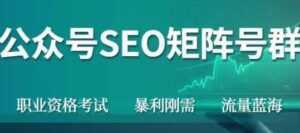 高鹏圈《公众号SEO矩阵号群项目》实操20天纯收益25000+,普通人都能做-课程网