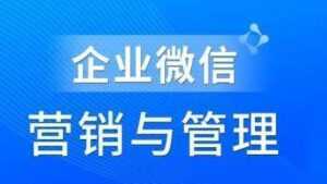 赵睿《企业微信营销管理实操全攻略》助力企业轻松玩转私域获客-课程网