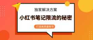 小红书笔记限流的秘密，被限流的笔记独家解决方案，打造高质量账号（共3节视频）-课程网
