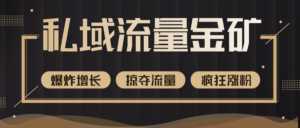价值2200元私域流量的金矿，循环获取各大媒体精准流量，无限复制网红的精准流量！-课程网