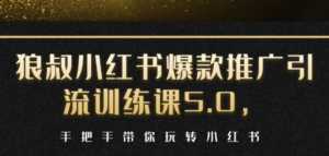 小红书爆款推广引流训练课5.0,手把手带你玩转小红书(17节实操视频+话术)-课程网