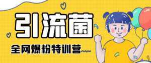引流菌2020全网爆粉特训营（QQ群霸屏，知乎引流，群裂变，自动化引流等）-课程网