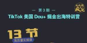 TikTok美国Dou+掘金出海特训营，美国dou+成功投放95%-课程网