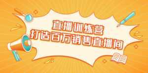 直播训练营：打造百万销售直播间 教会你如何直播带货，抓住直播大风口-课程网