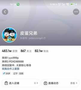 沙雕动画-皮蛋兄弟·熊猫人动画教学制作，全套素材文案教程分享！-课程网