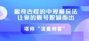 不讲李·稀奇古怪的冷门中视频冷门玩法,让你的账号脱颖而出,成为流量刺客!(图文+视频)-课程网