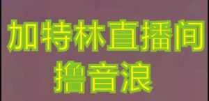 抖音加特林直播间搭建技术，抖音0粉开播，暴力撸音浪，2023新口子，每天800+【素材+详细教程】-课程网