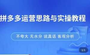 拼多多店铺运营思路与实操教程，快速学会拼多多开店和运营，少踩坑，多盈利-课程网