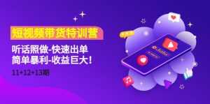 短视频带货特训营（11+12+13期）听话照做-快速出单-简单暴利-收益巨大！-课程网