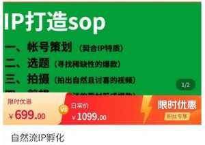 瑶瑶·自然流IP孵化，系统掌握IP孵化全流程，也能学到选题，剪辑，账号运营经验-课程网
