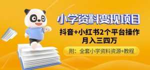 唐老师小学资料变现项目，抖音+小红书2个平台操作，月入数万元（全套资料+教程）-课程网