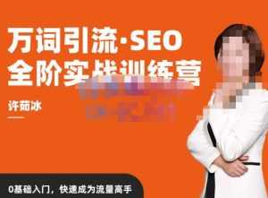 许茹冰·万词引流-SEO全阶实战训练营，0基础入门，快速成为流量高手-课程网