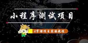 小程序测试项目：从星图、搞笑、网易云、实拍、单品爆破教你通过抖推猫小程序变现-课程网